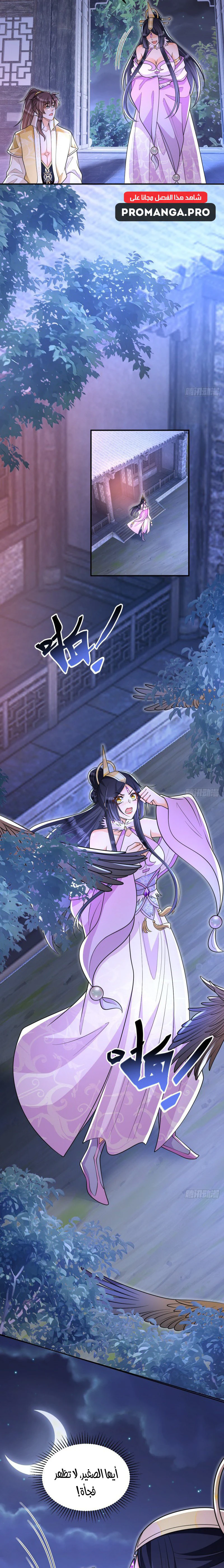 Chapter Image 5