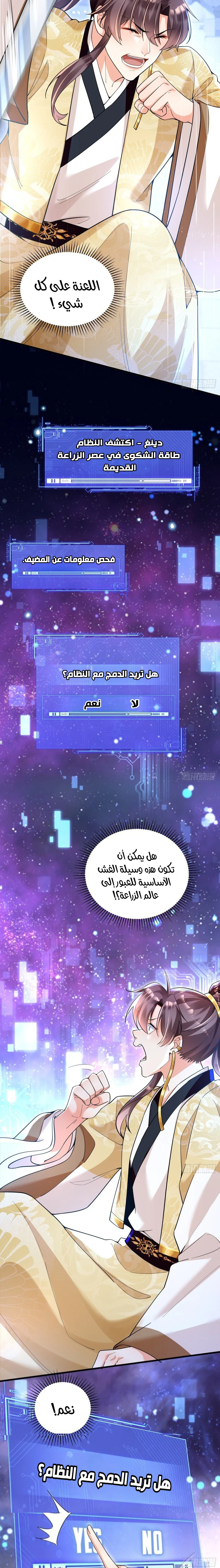 Chapter Image 4