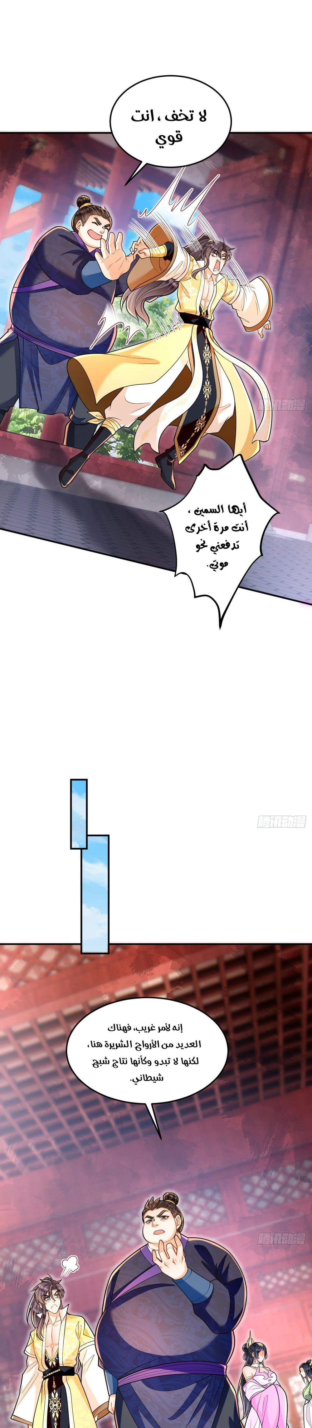 Chapter Image 5