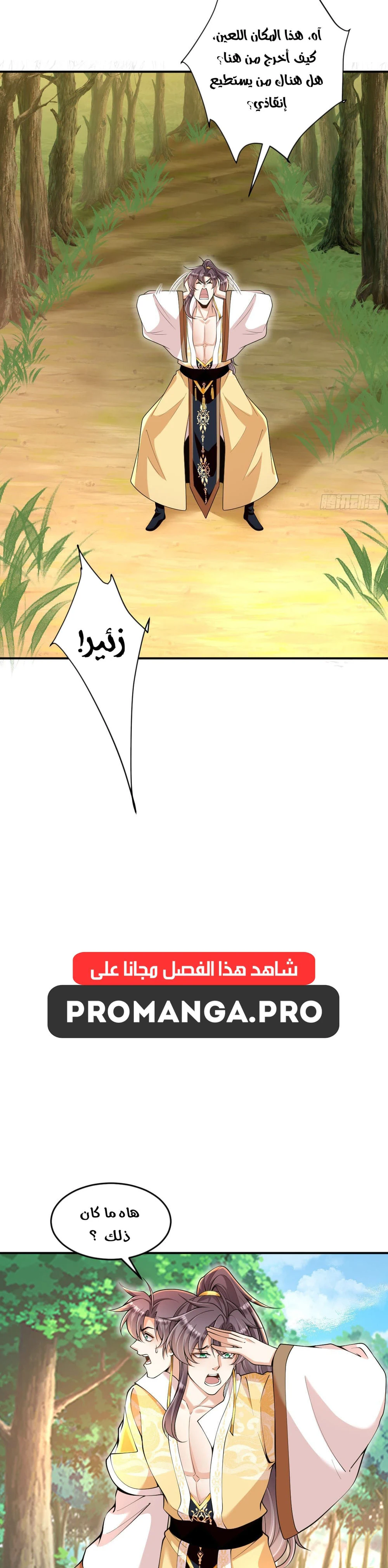 Chapter Image 4