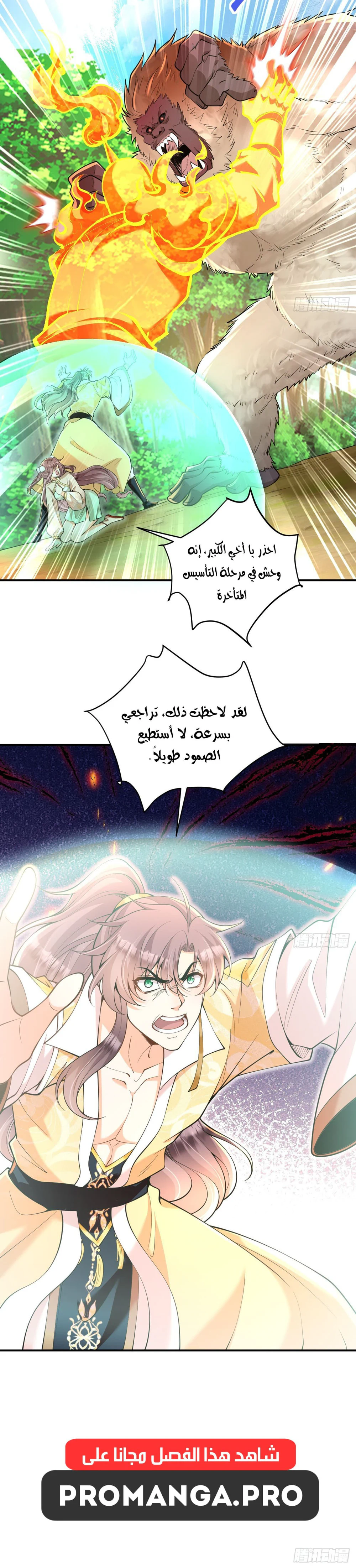 Chapter Image 4