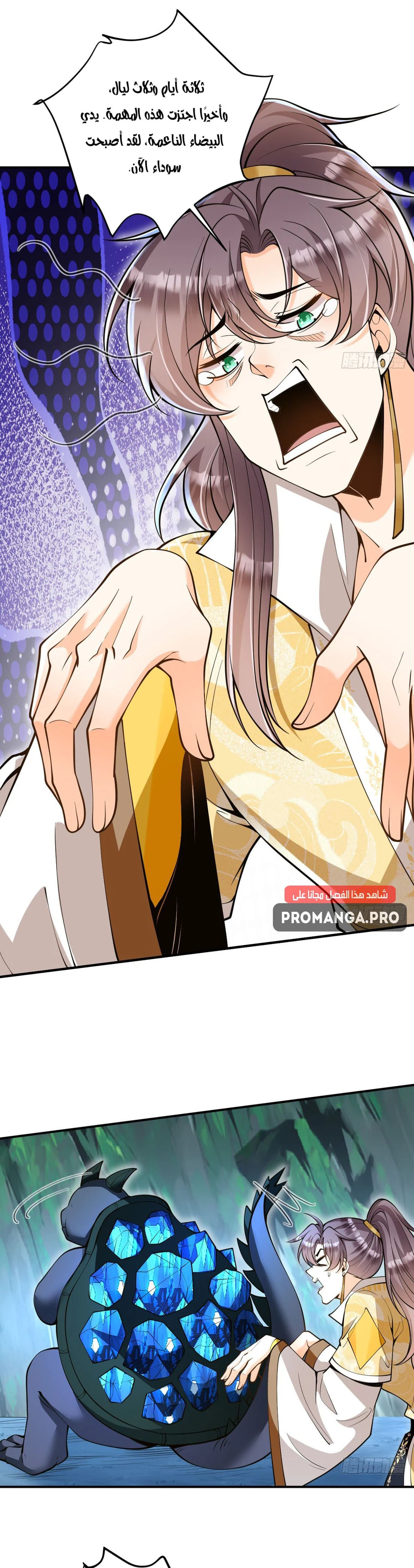 Chapter Image 3