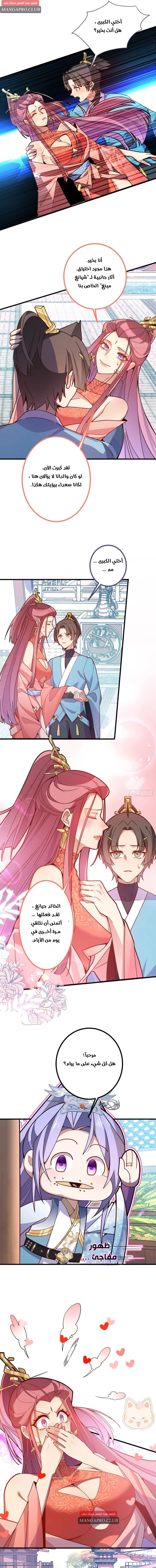 Chapter Image 3
