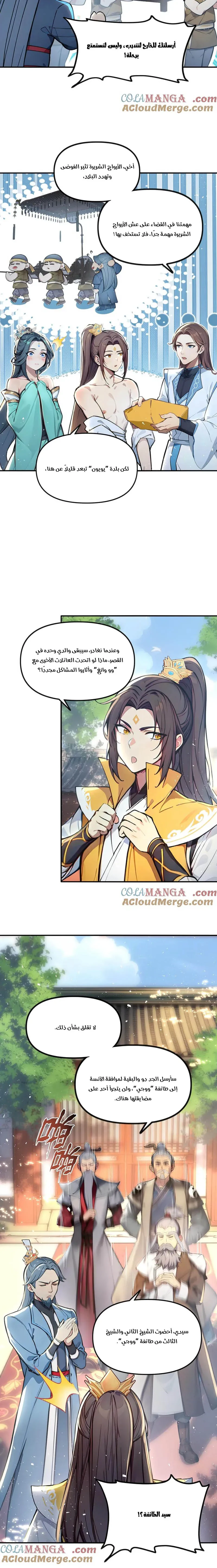 Chapter Image 5