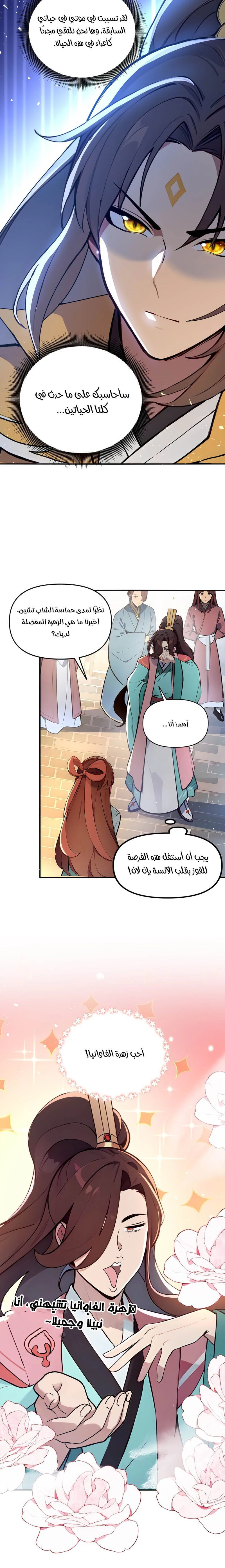 Chapter Image 9