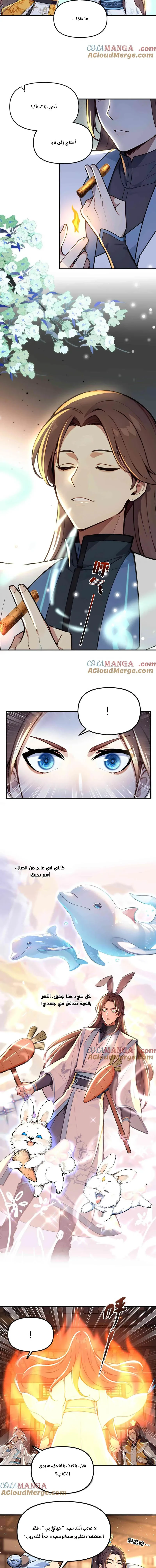Chapter Image 7