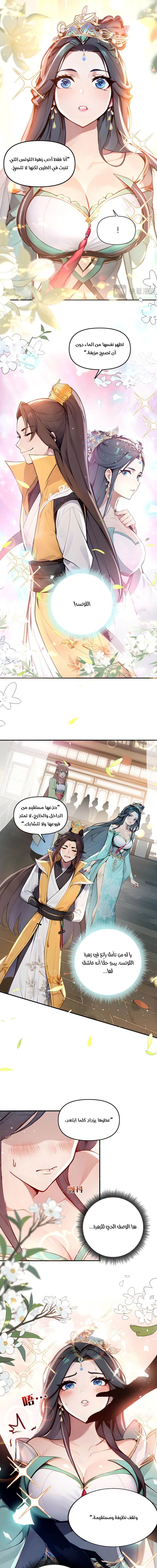 Chapter Image 4