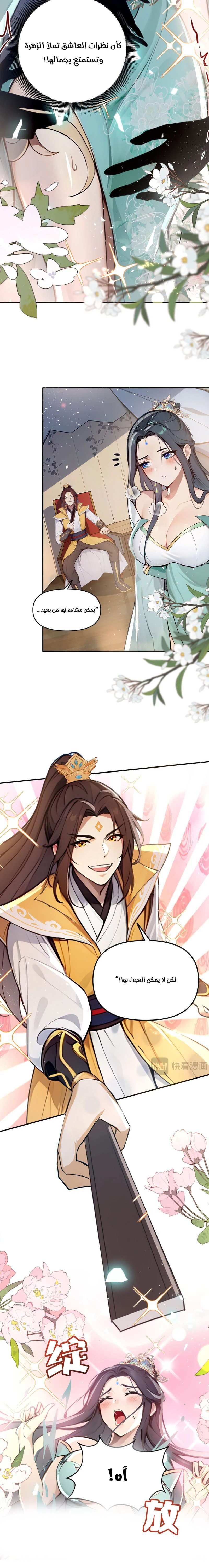 Chapter Image 5