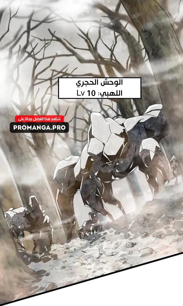 Chapter Image 4