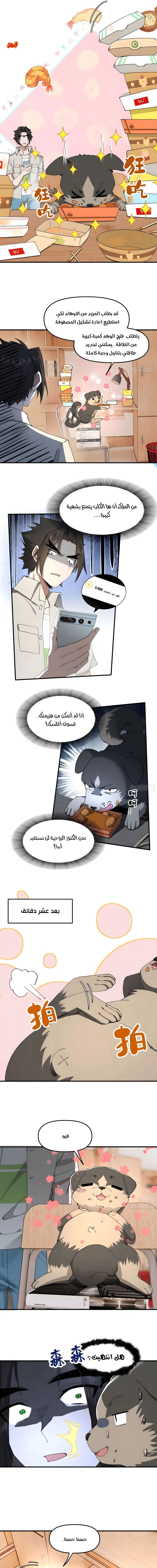 Chapter Image 5