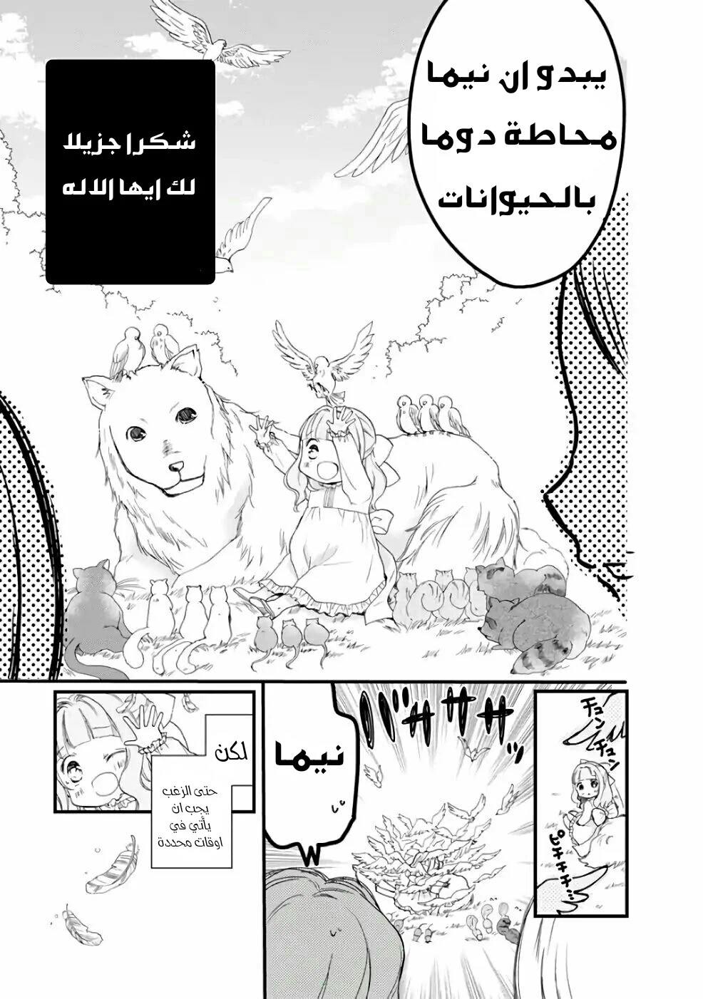 Chapter Image 10