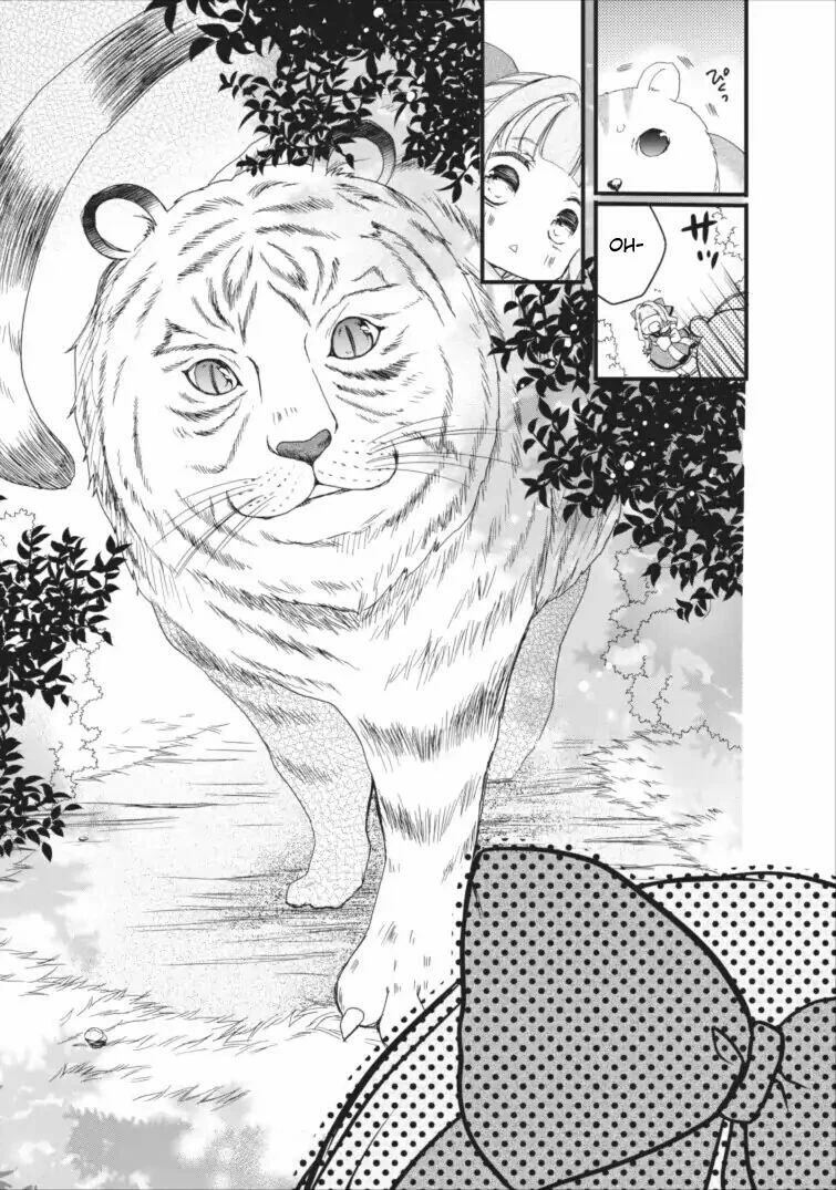 Chapter Image 17