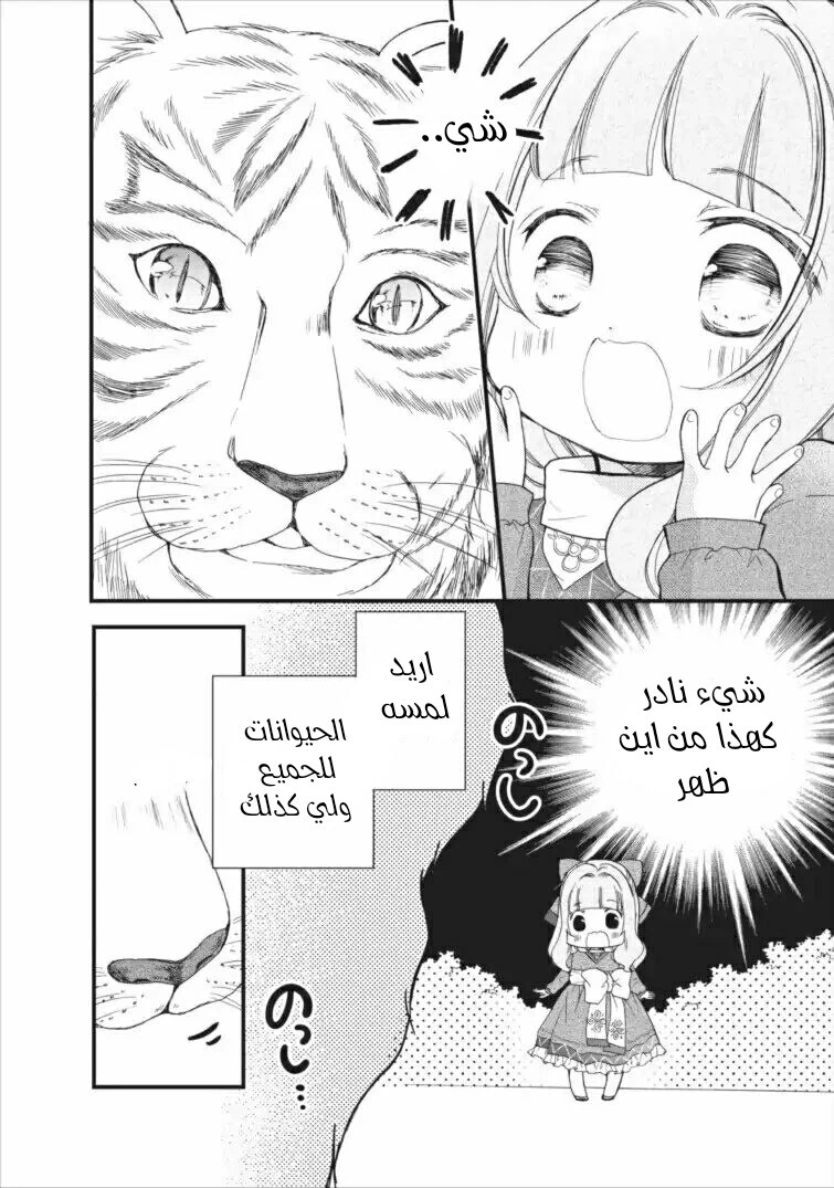 Chapter Image 18