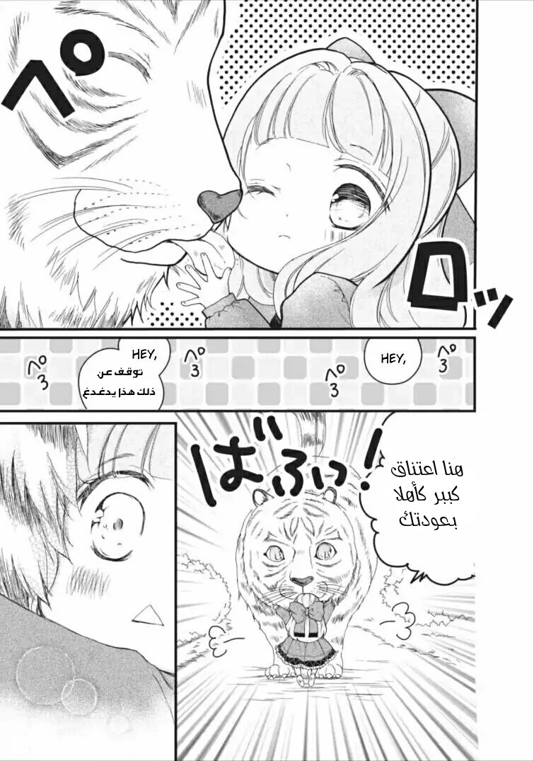 Chapter Image 19