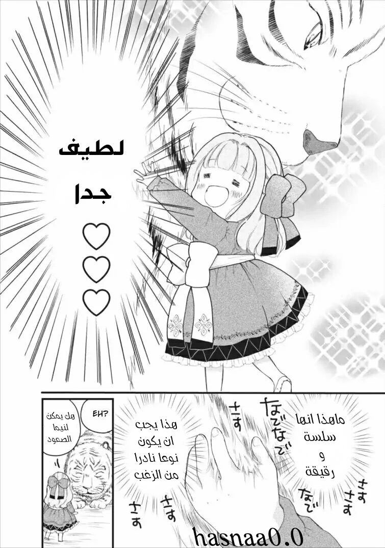 Chapter Image 20