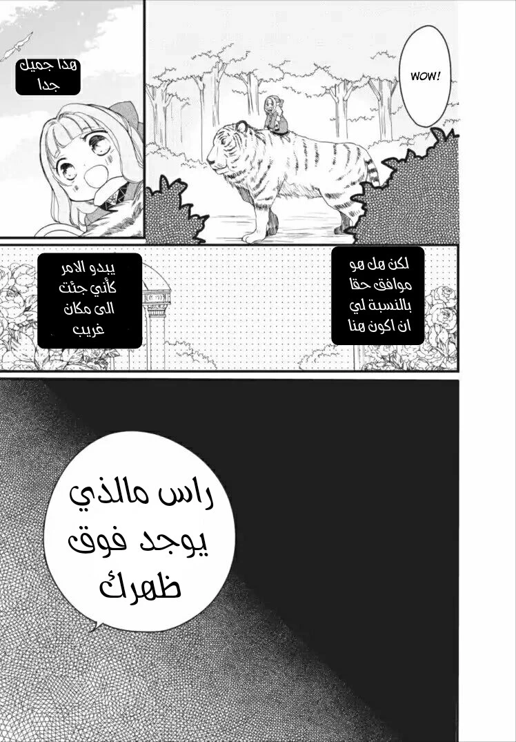 Chapter Image 21