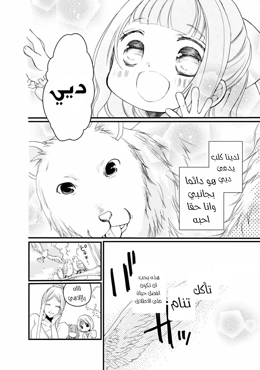 Chapter Image 9