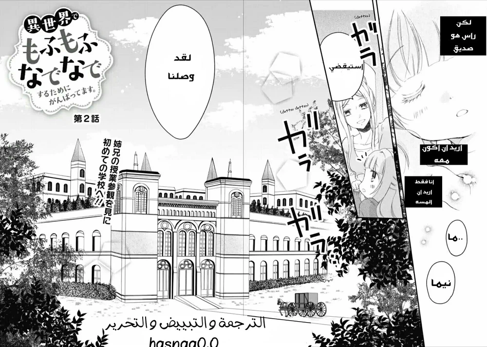 Chapter Image 13