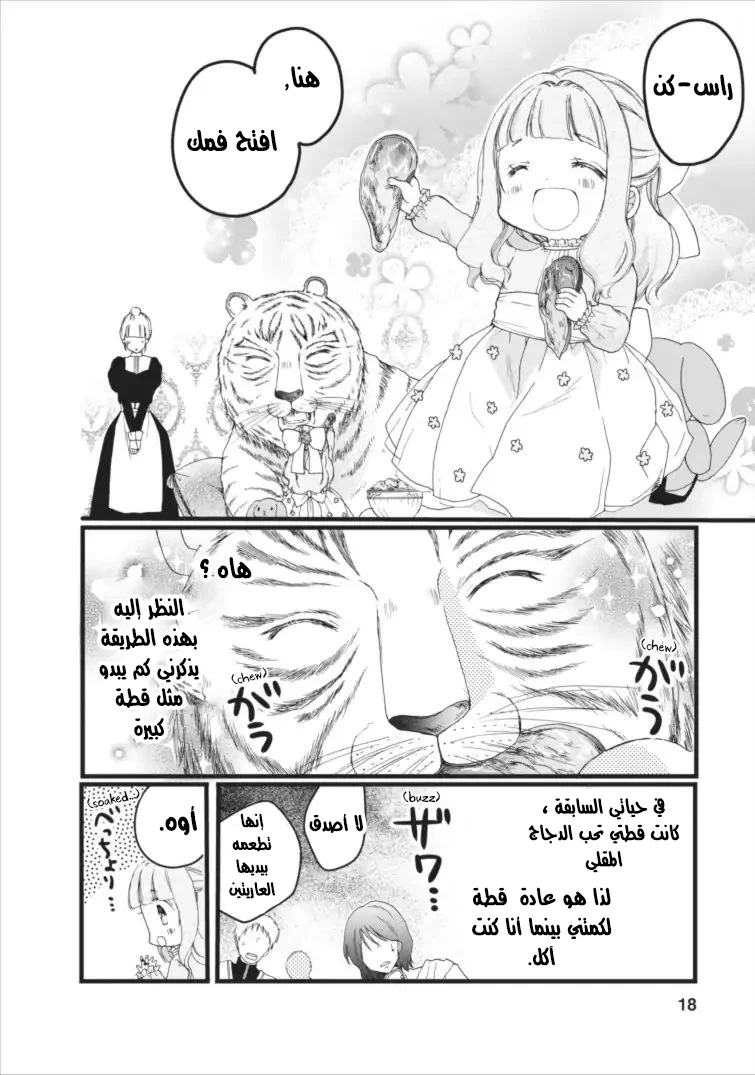 Chapter Image 11