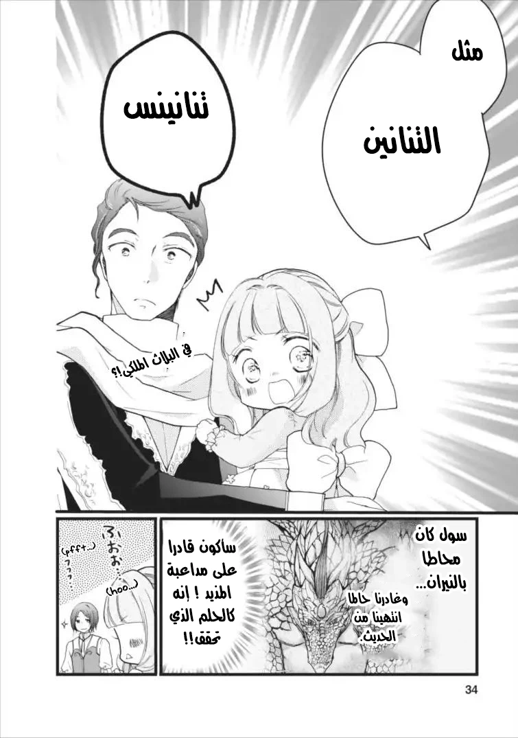 Chapter Image 29