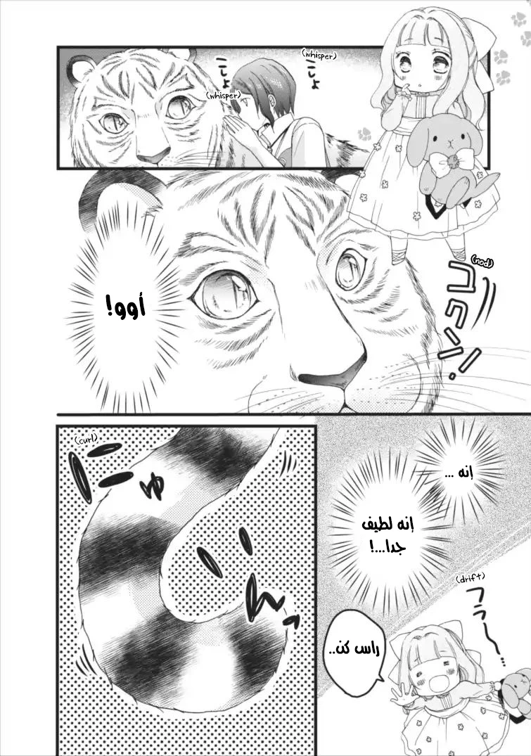 Chapter Image 7