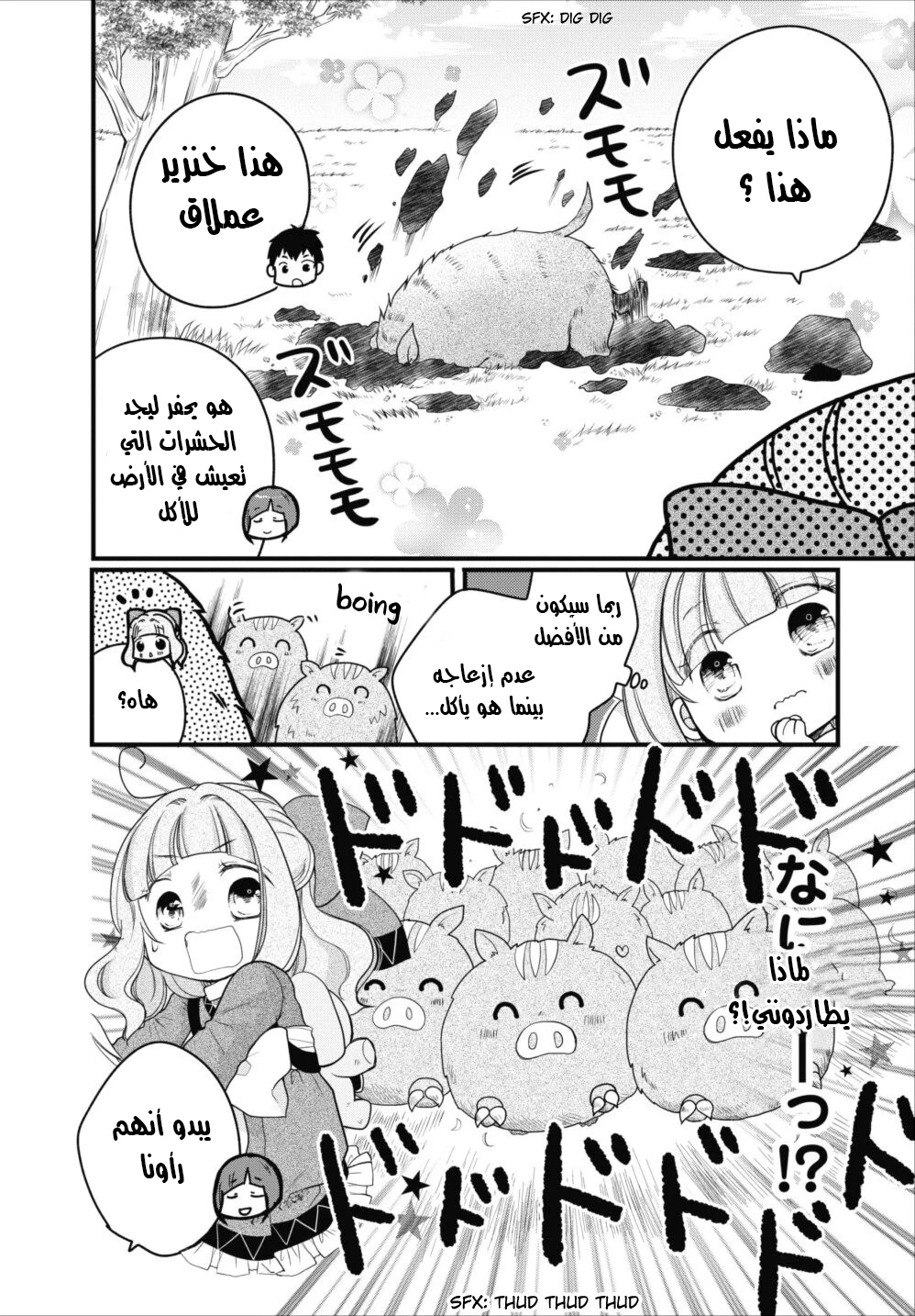 Chapter Image 12