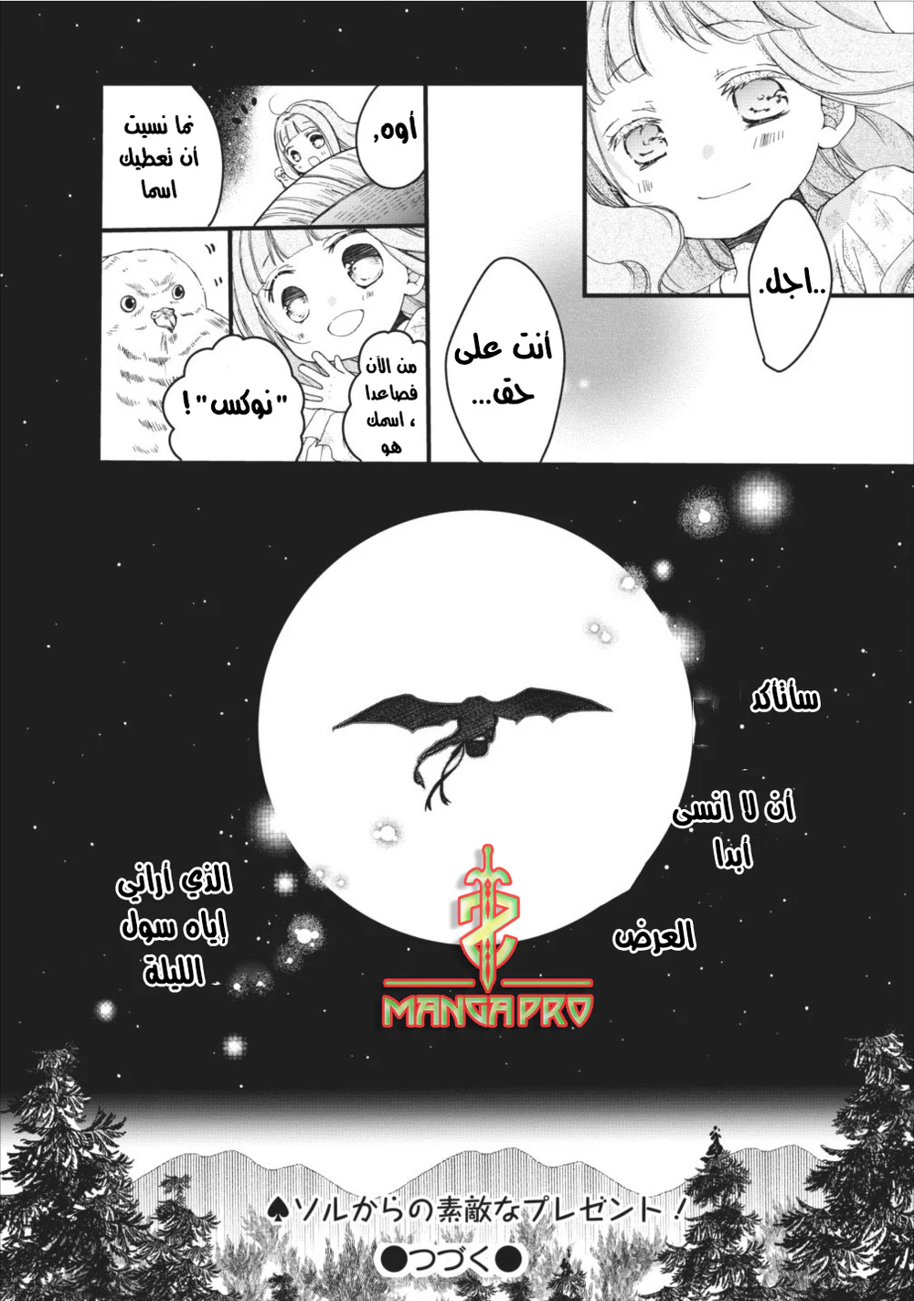 Chapter Image 13