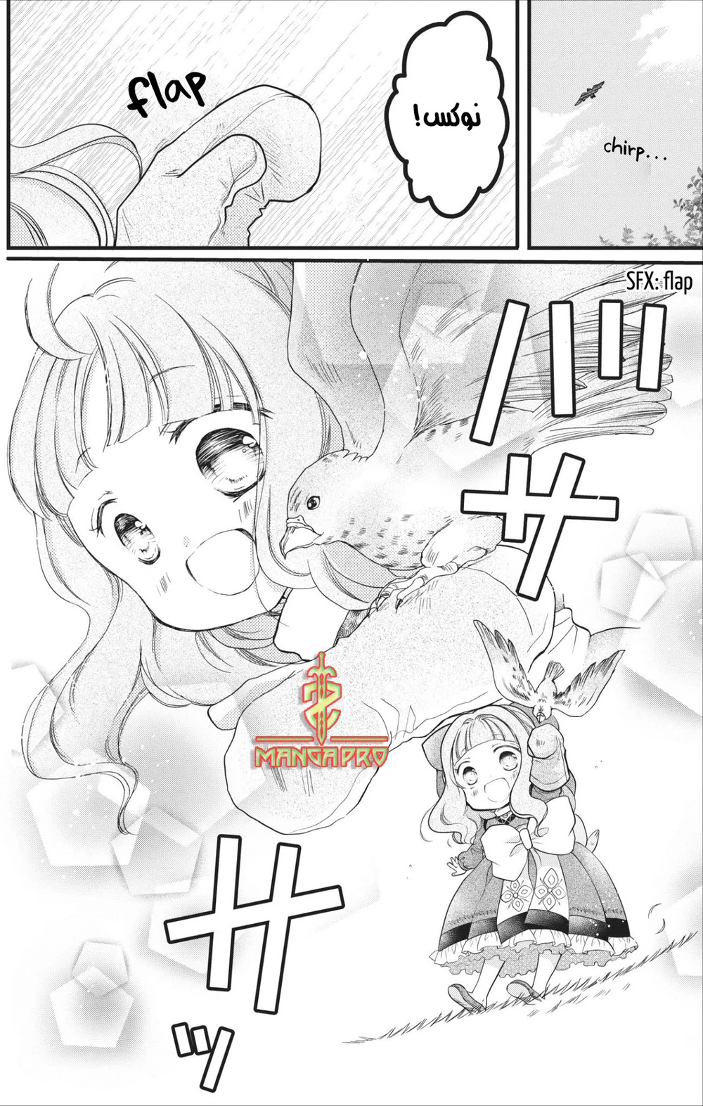 Chapter Image 11