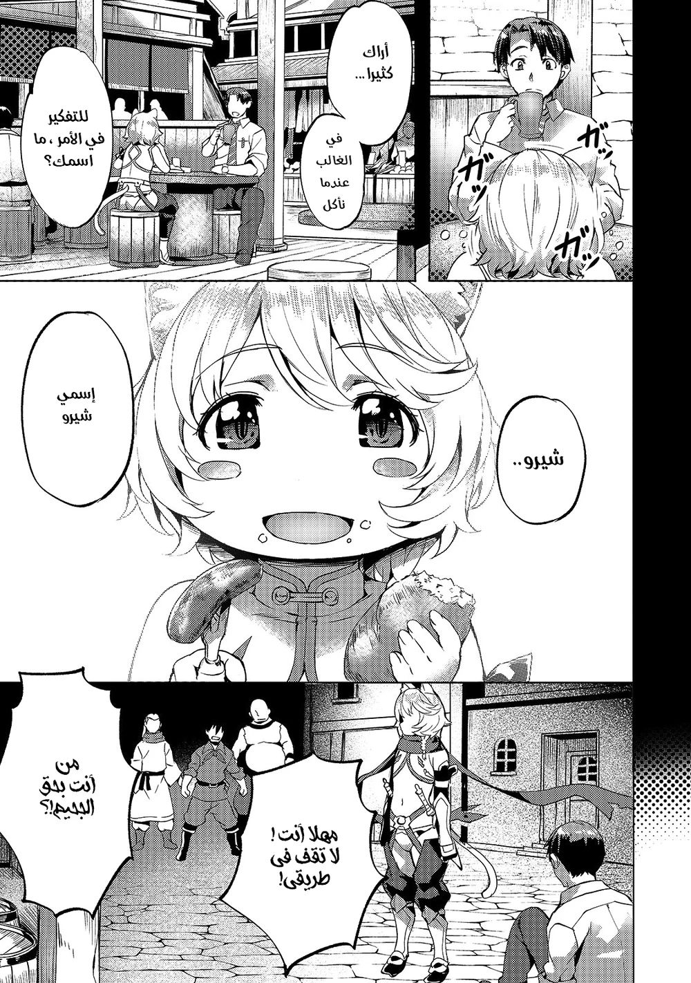 Chapter Image 3