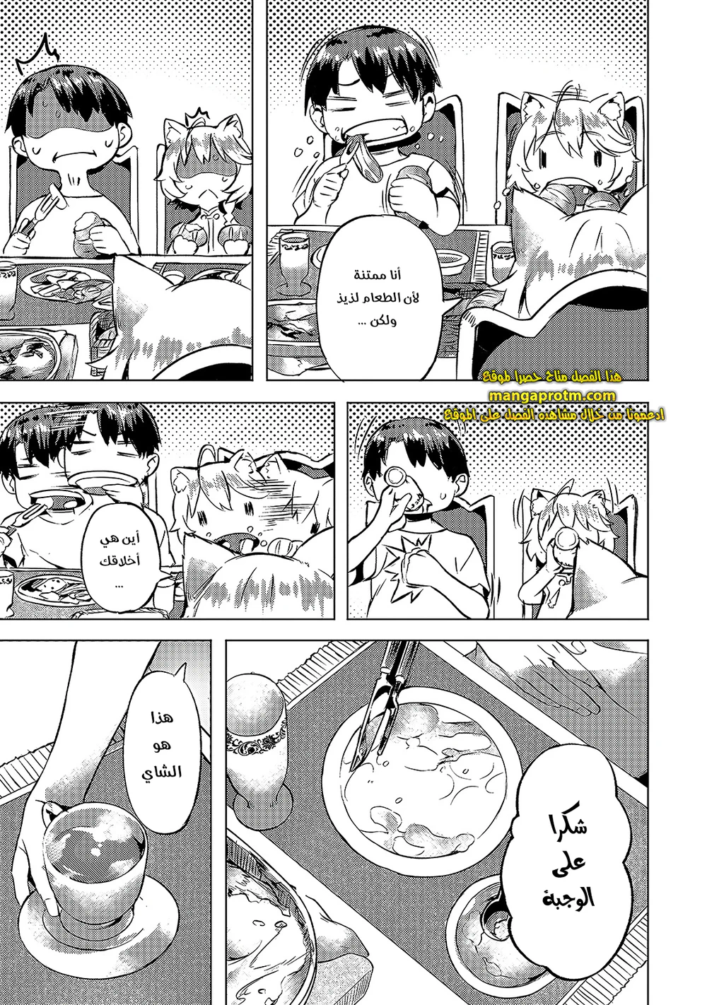 Chapter Image 11