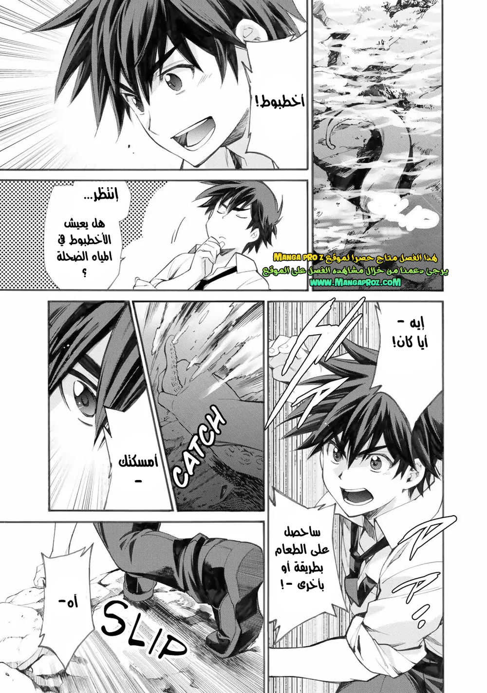 Chapter Image 5