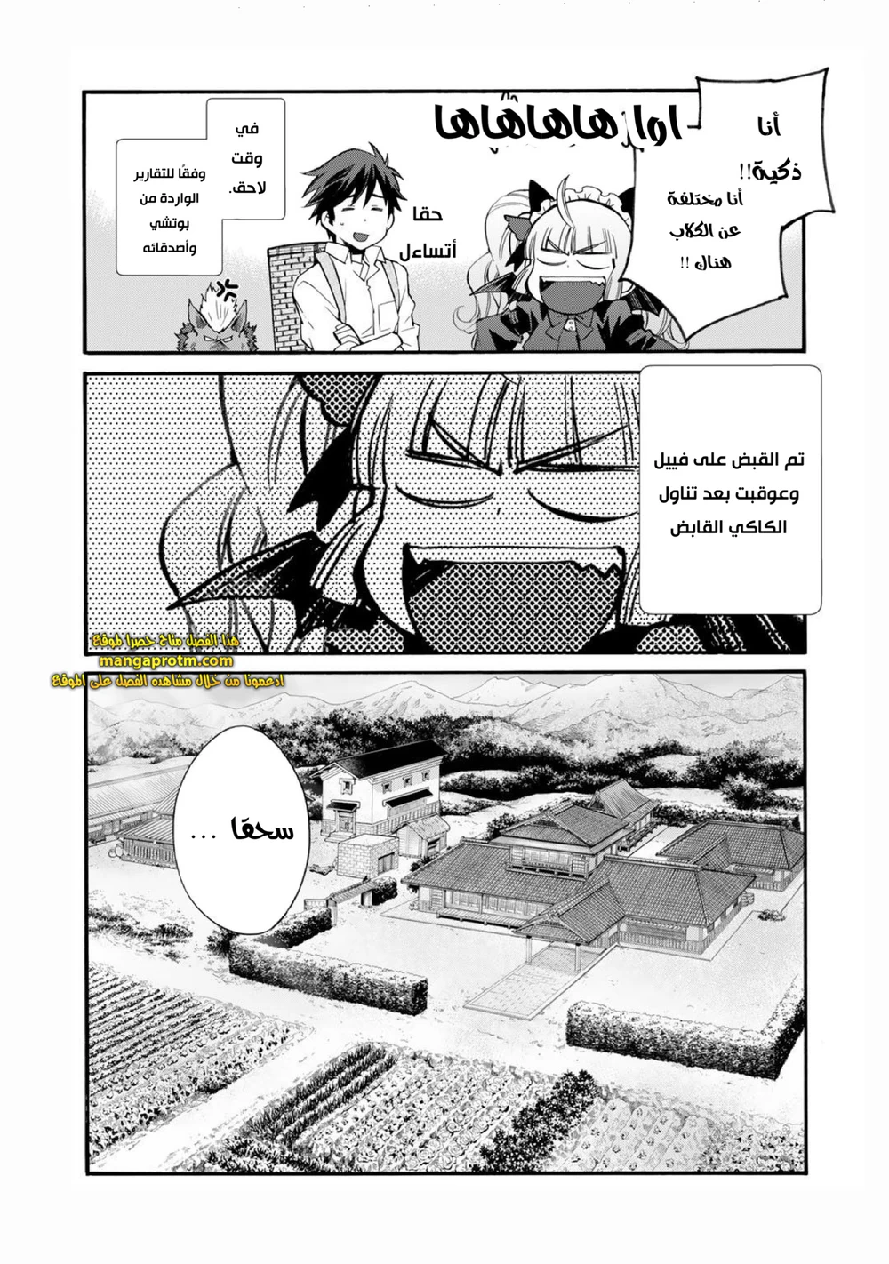 Chapter Image 11