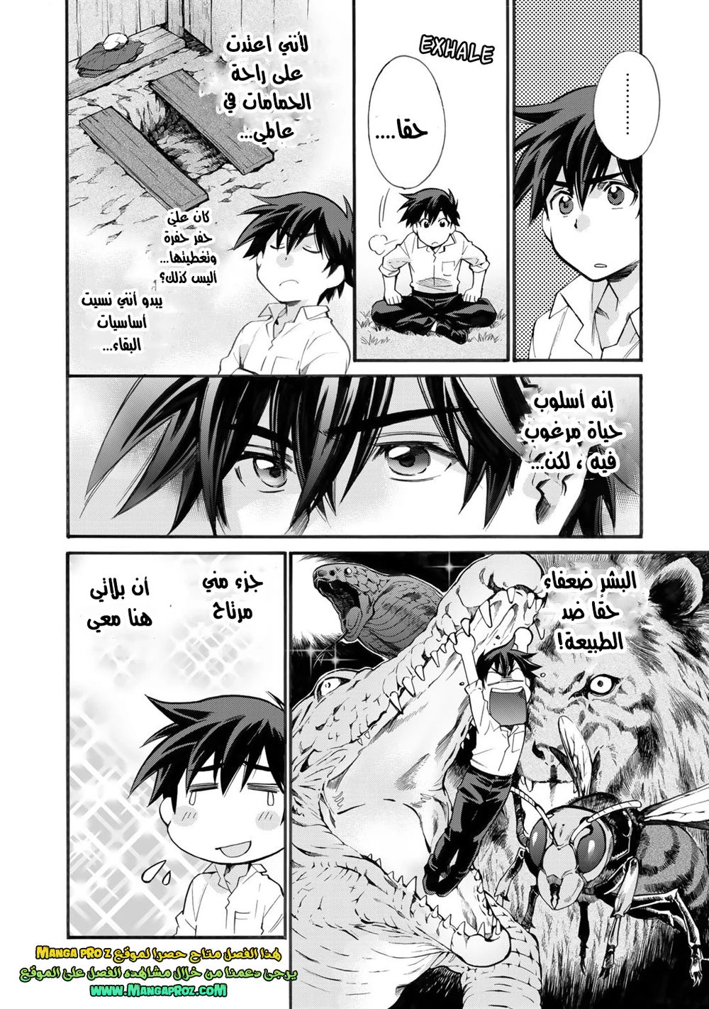 Chapter Image 4
