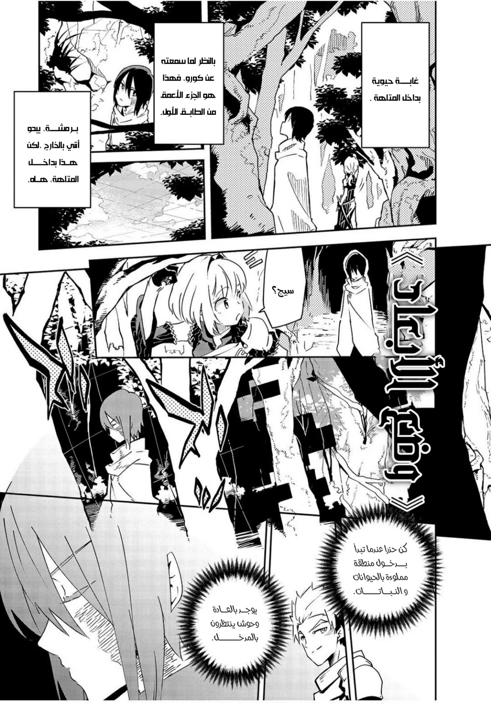 Chapter Image 11