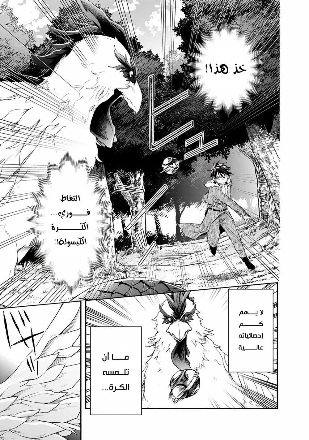 Chapter Image 4