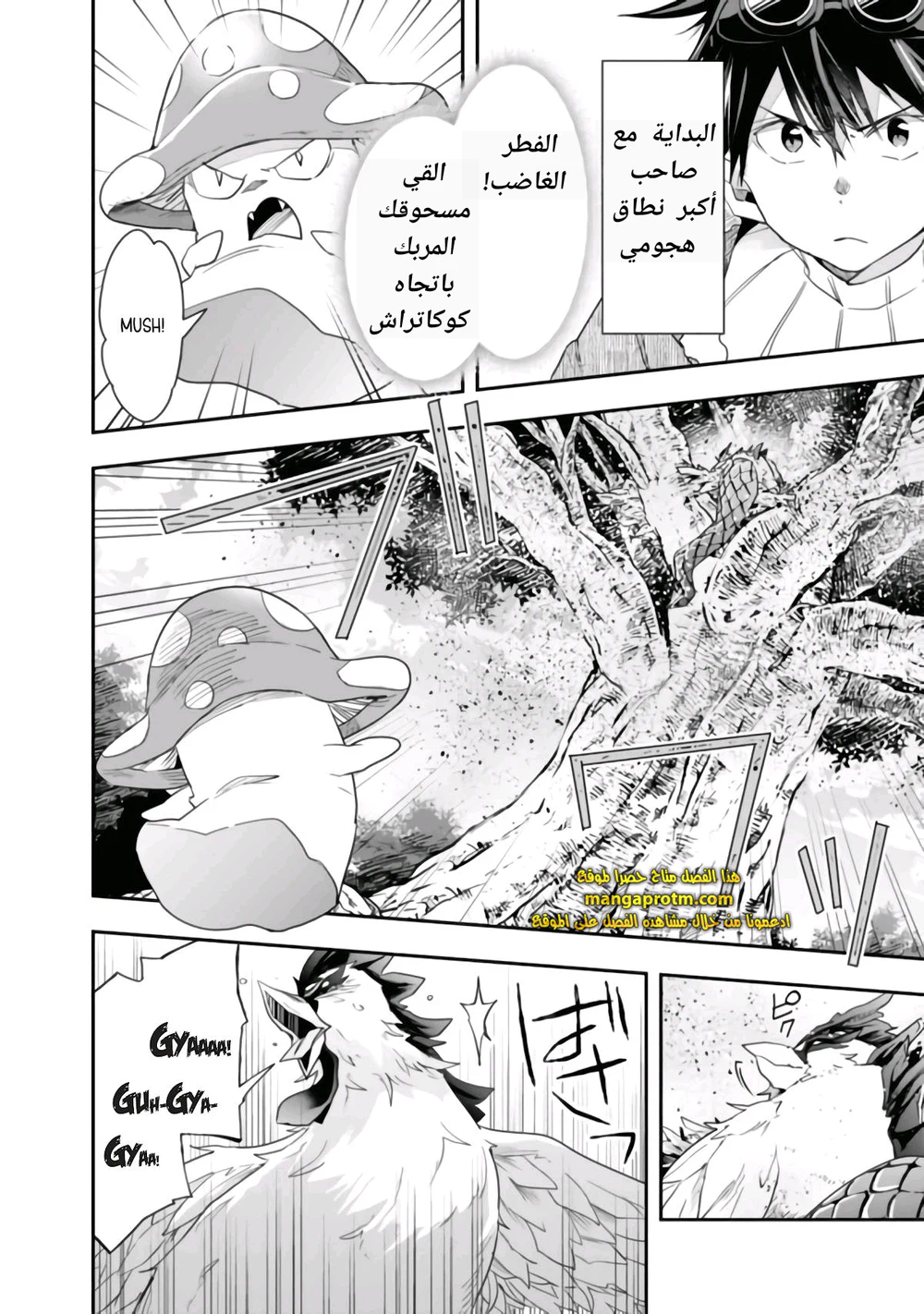 Chapter Image 11