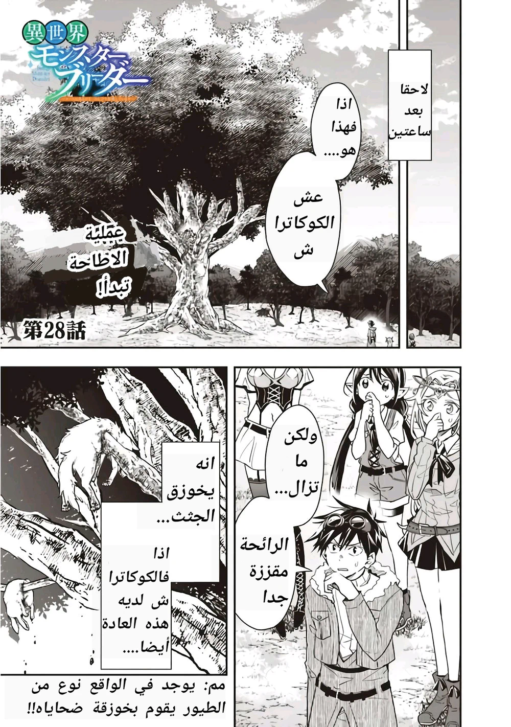 Chapter Image 3