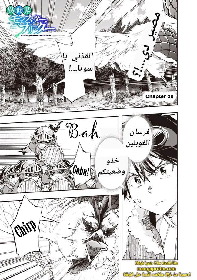 Chapter Image 2