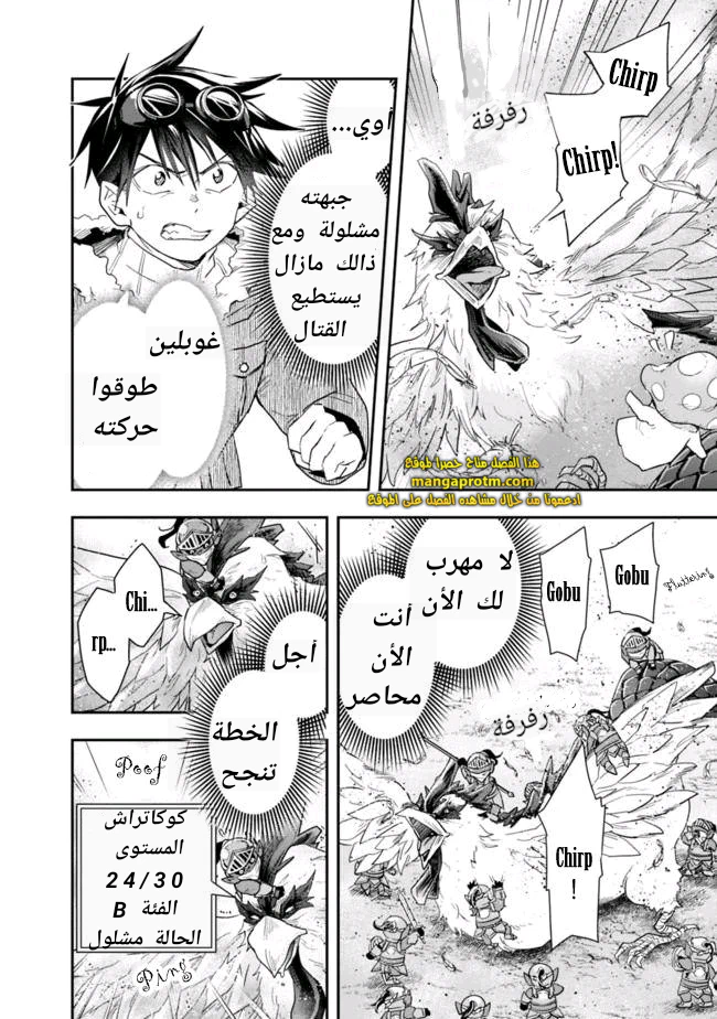 Chapter Image 5