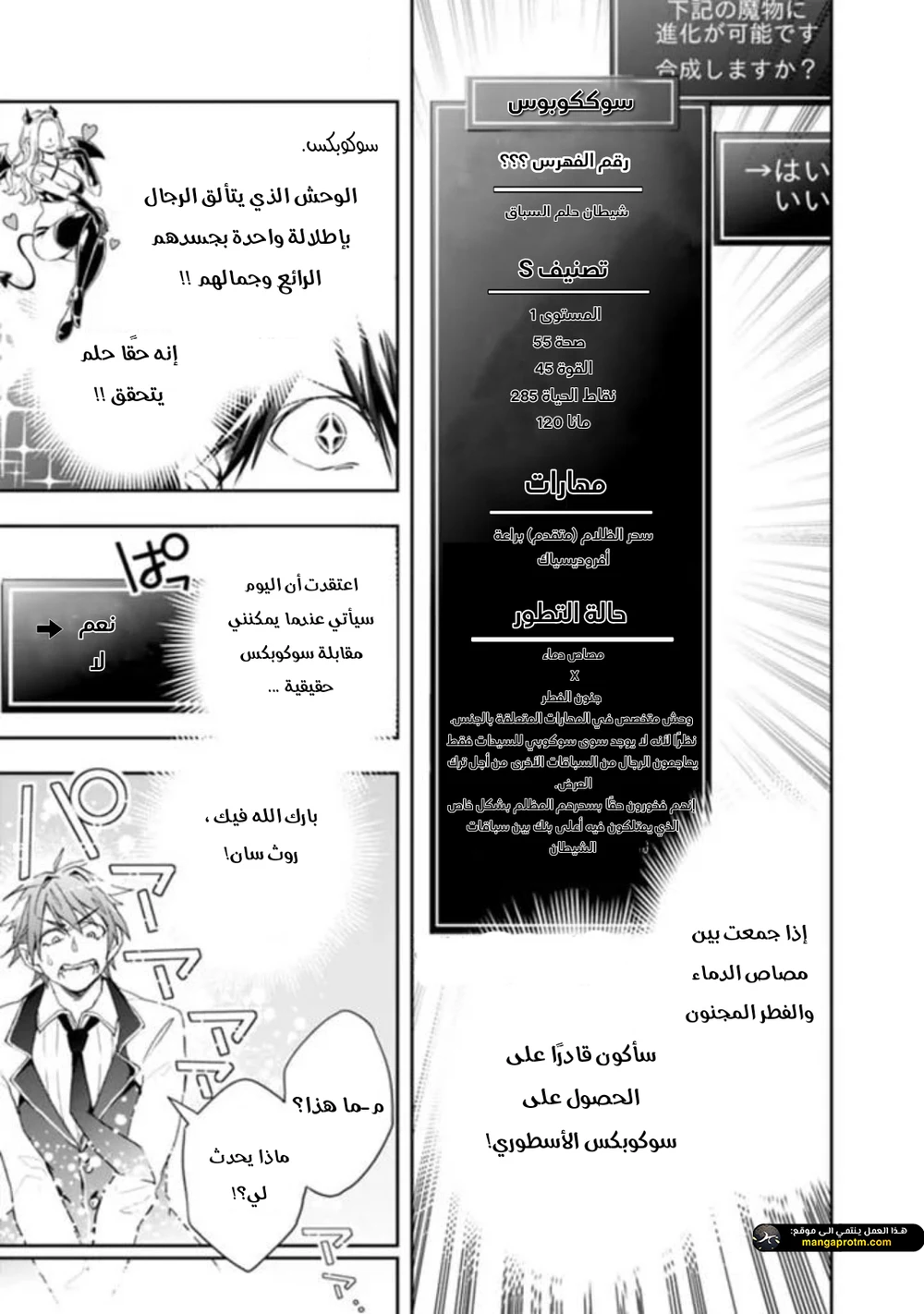 Chapter Image 3