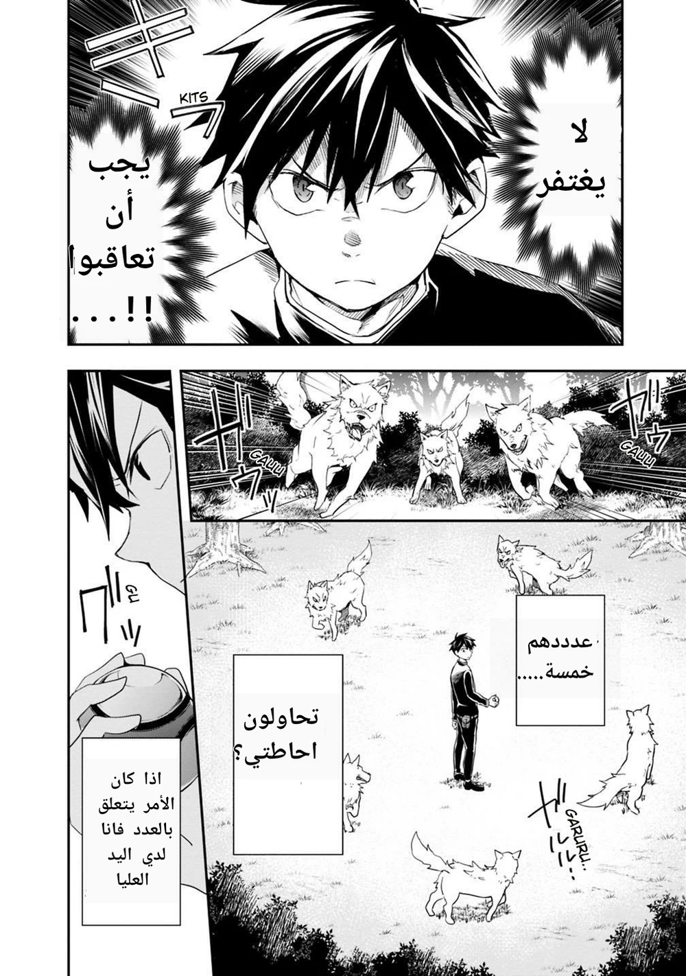 Chapter Image 4