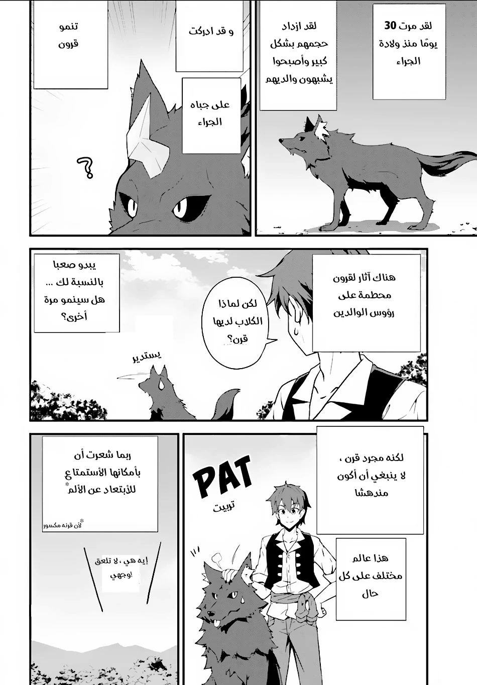 Chapter Image 4