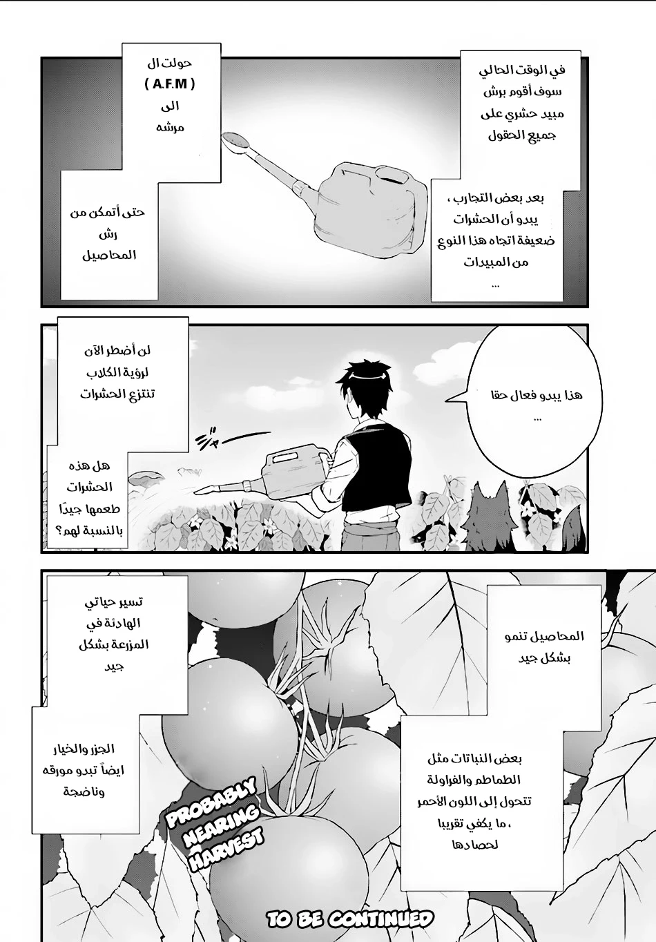Chapter Image 6