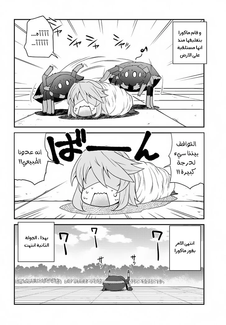 Chapter Image 4