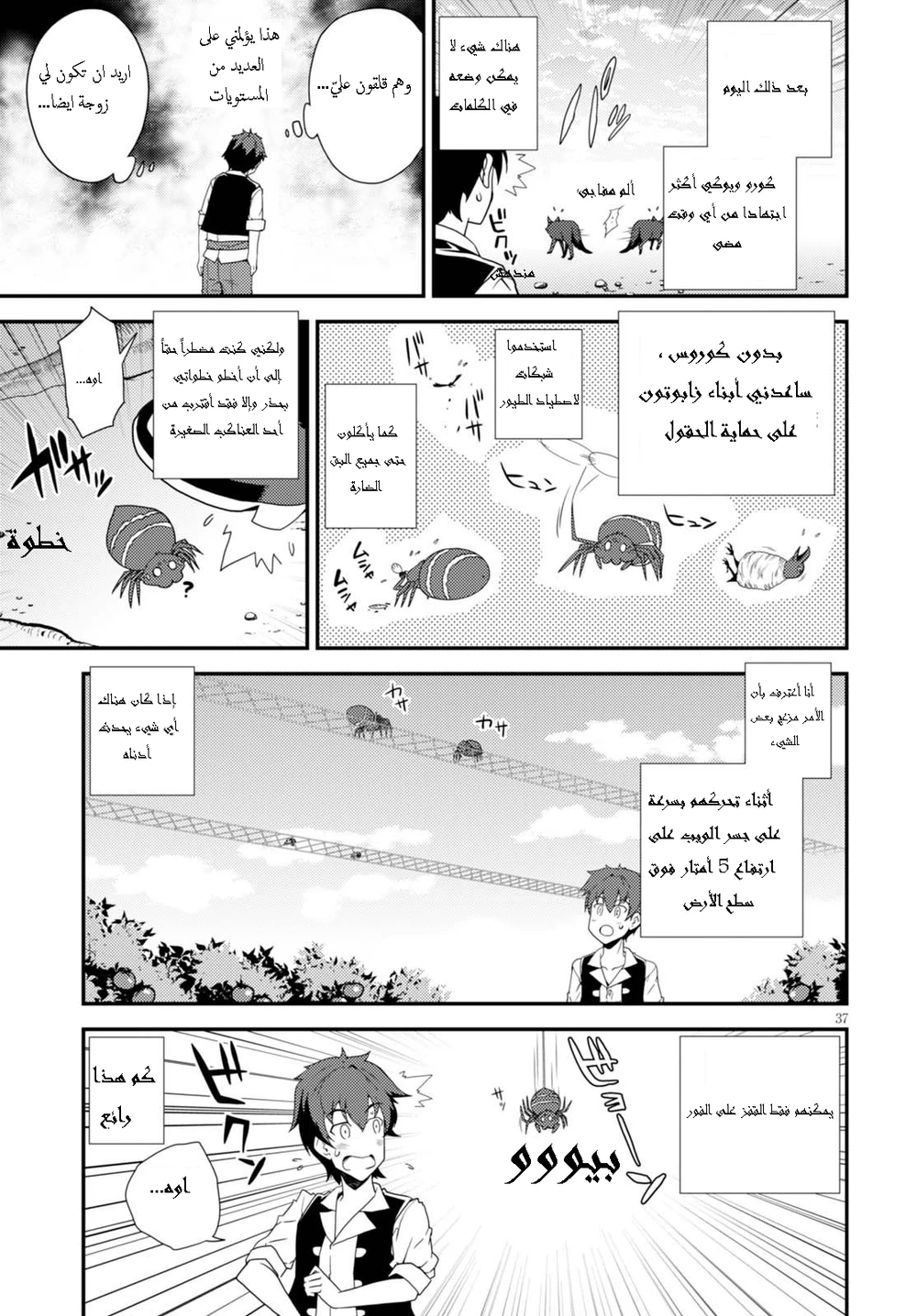 Chapter Image 5