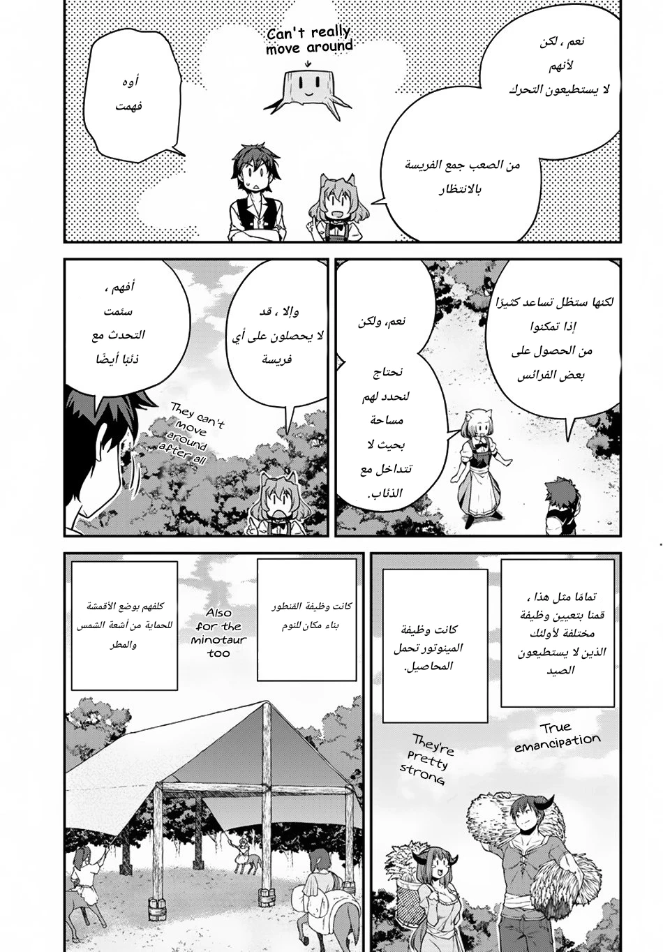 Chapter Image 3