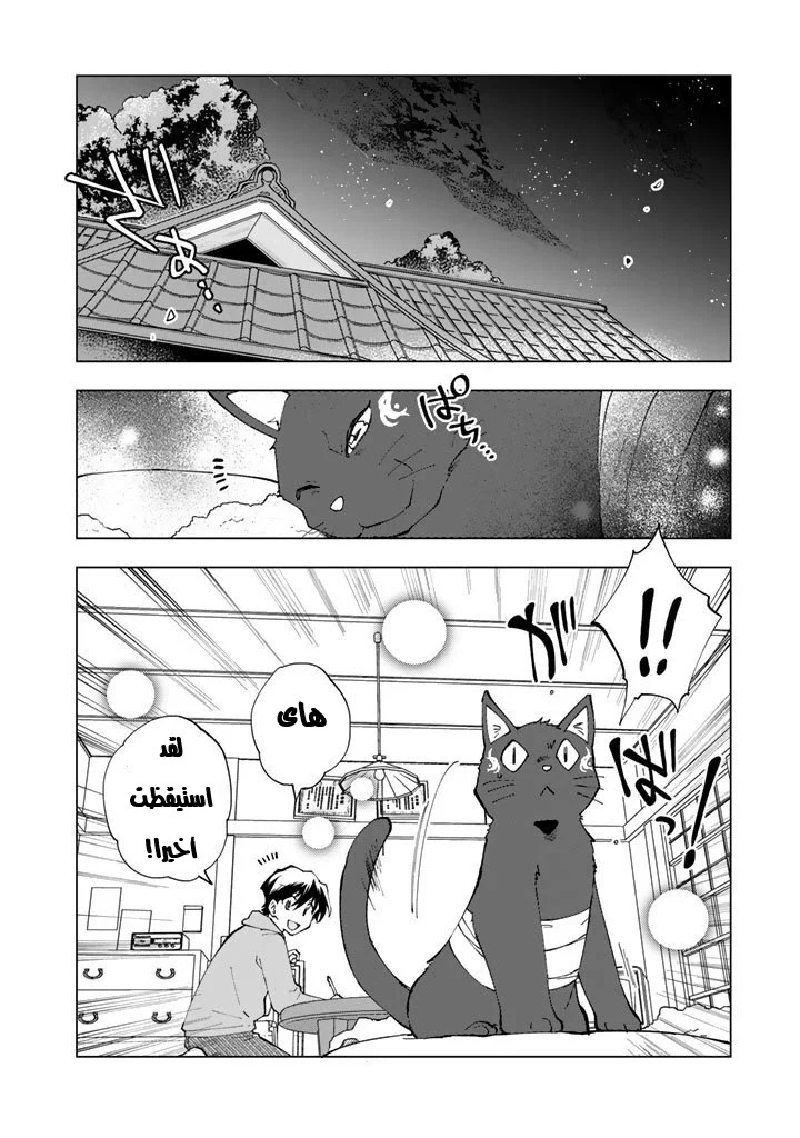 Chapter Image 7