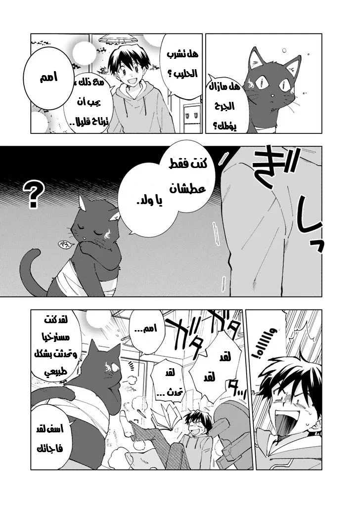Chapter Image 8