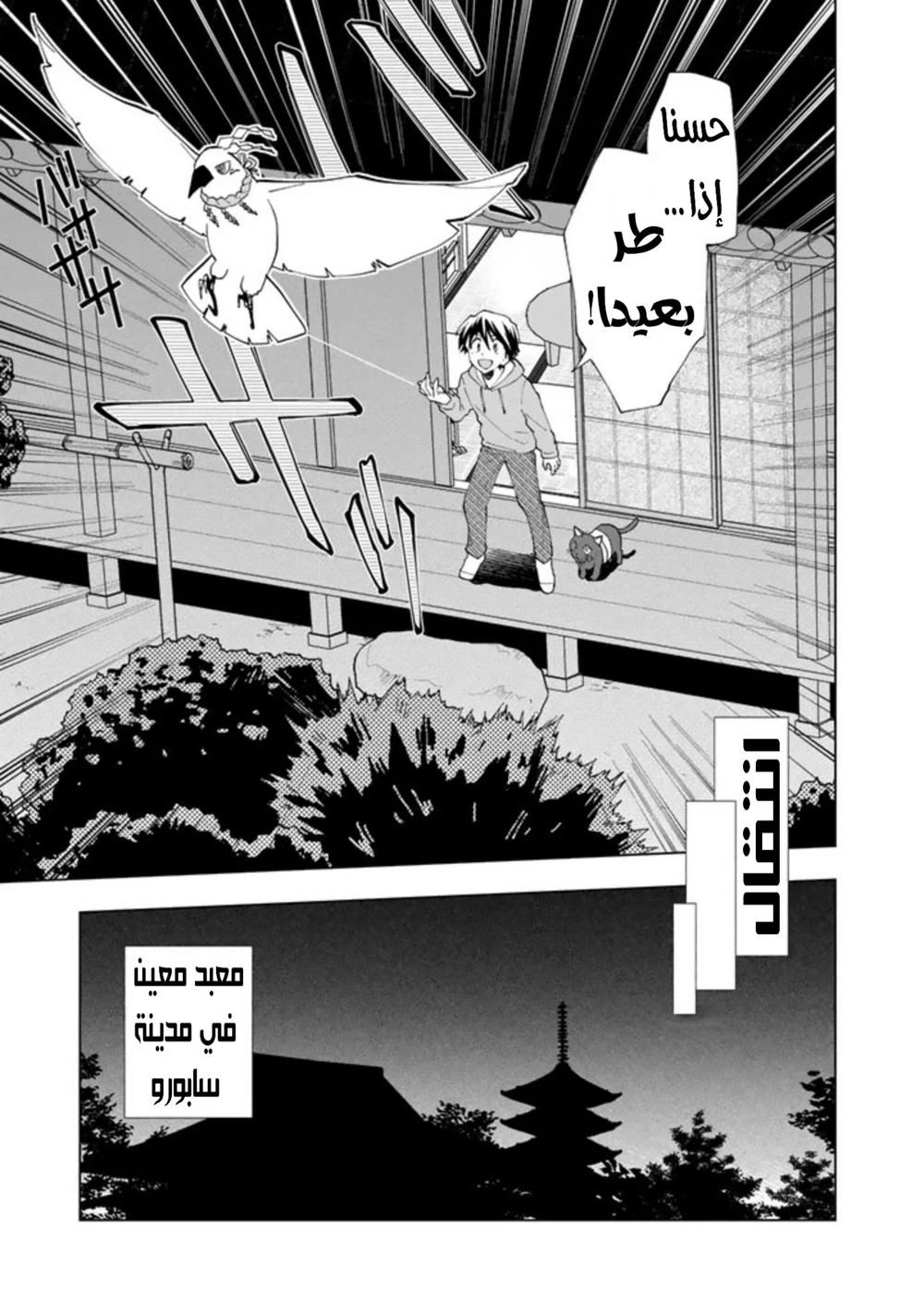 Chapter Image 16