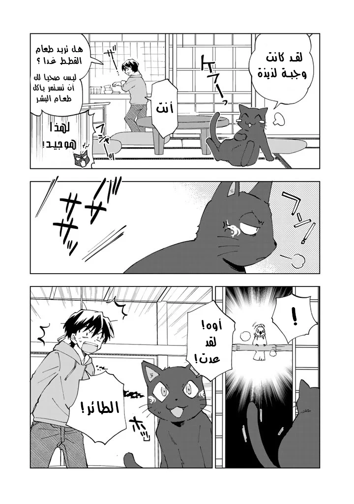 Chapter Image 2